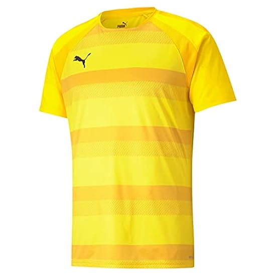 PUMA Teamvision Jersey Shirt Uomo 201601690
